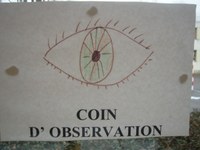 coin observation jpeg