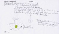protocole_initial_feuilles