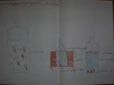 dessin 3