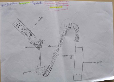 schema-equipe-2